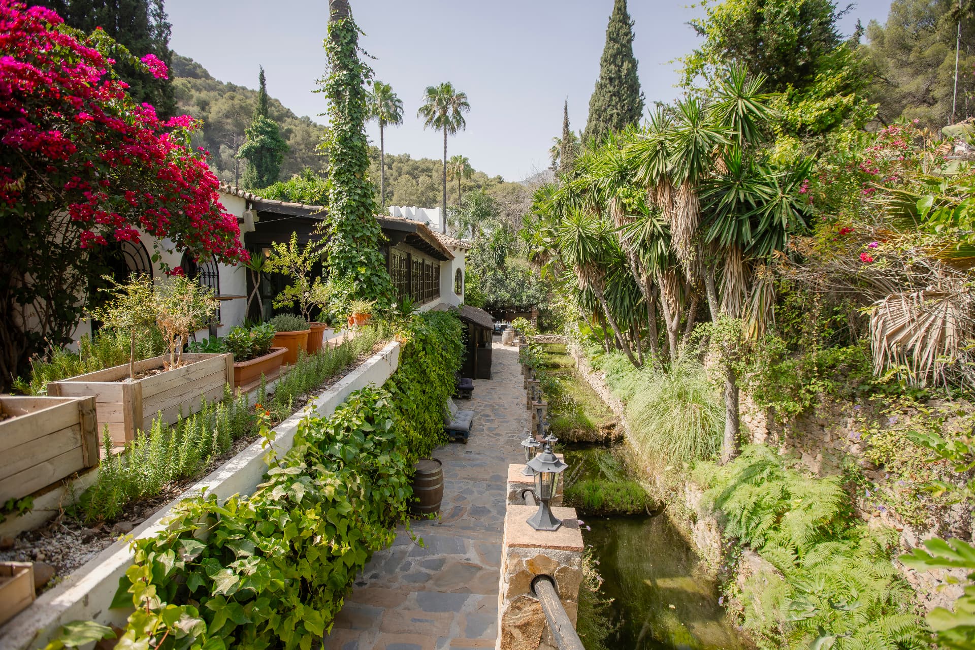 The stone path along the river at Cascada, lined with bougainvillea and palm trees